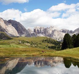 Residence Töglhof - Apartments and rooms in Villnöss - South Tyrol